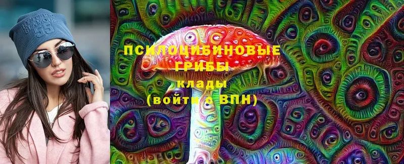 Галлюциногенные грибы Magic Shrooms  Бикин 